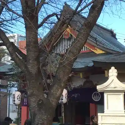 浅草富士浅間神社のその他建物