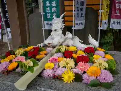 田無神社(東京都)