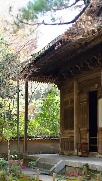 蓮華寺(洛北蓮華寺)(京都府)
