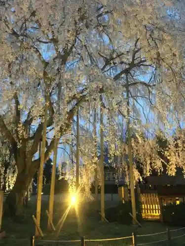 足羽神社の自然