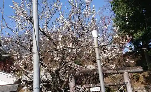 賀茂別雷神社のその他建物