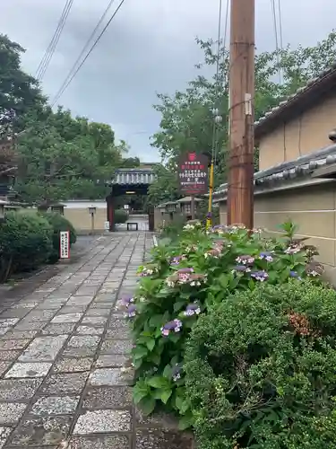 大報恩寺（千本釈迦堂）のその他建物