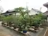 菅原天満宮(菅原神社)の庭園