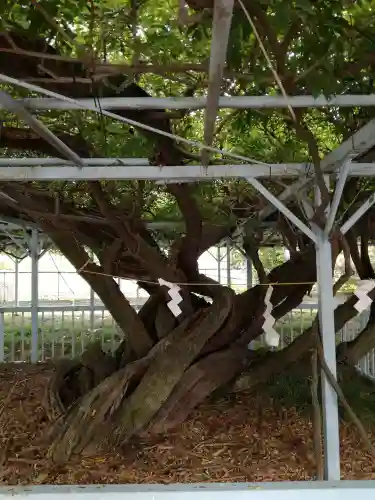 菖蒲神社の庭園