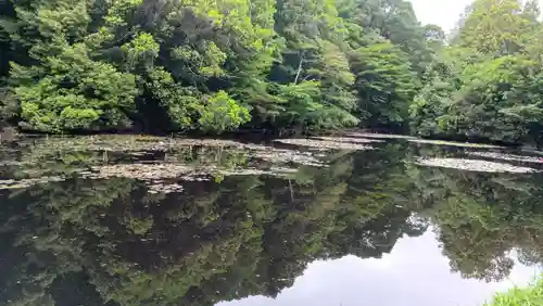 明治神宮(東京都)