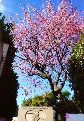 新井天神北野神社(東京都)