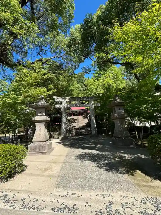 鹿児島神社(鹿児島県)