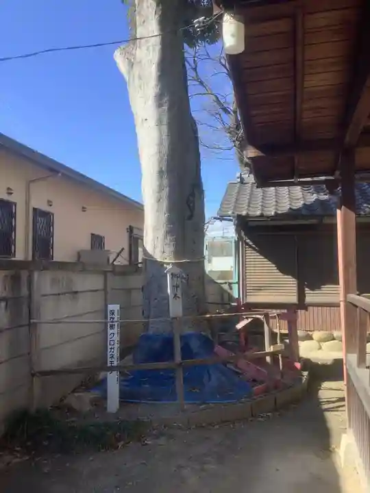 六生社のその他建物