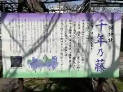 國領神社の建物その他