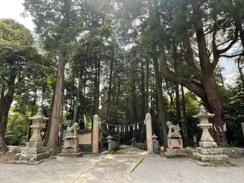 東大野八幡神社の建物その他