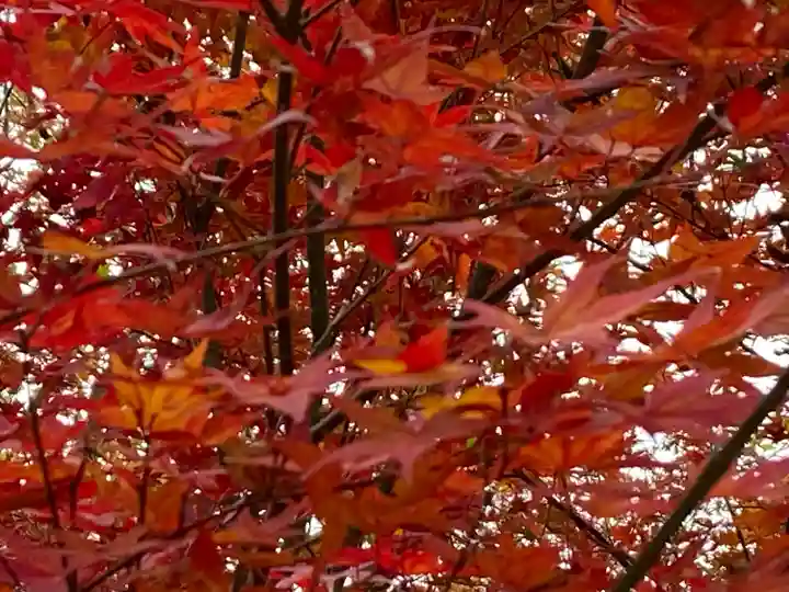 石清水八幡宮(京都府)