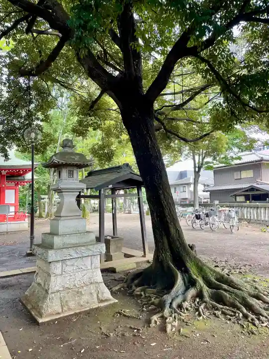秋津神社(東京都)