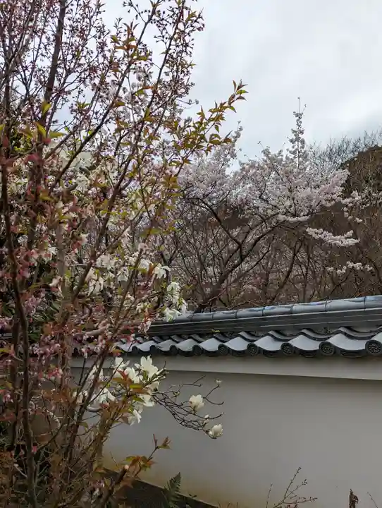 勝持寺(花の寺)(京都府)