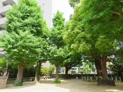 磐井神社の自然