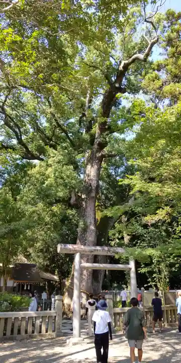 伊弉諾神宮(兵庫県)