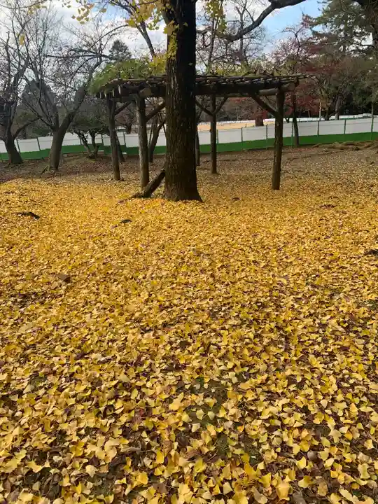 手向山八幡宮(奈良県)