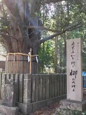 熊野速玉大社(和歌山県)