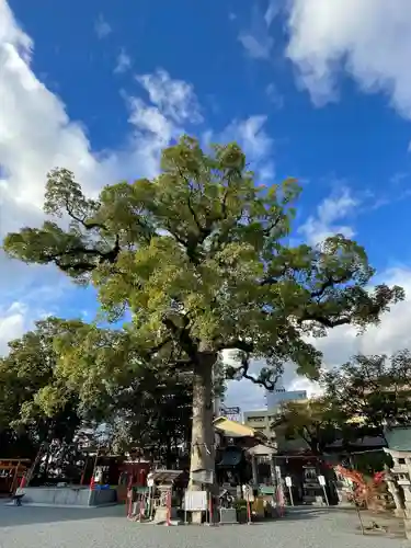 正八幡宮の自然