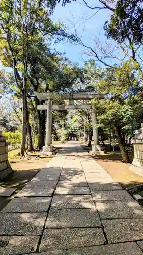 赤坂氷川神社の鳥居