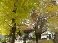 菅原神社(山口県)