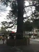 椿大神社(三重県)