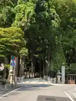 高野山金剛峯寺奥の院(和歌山県)