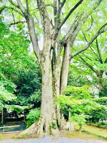 自性院(茨城県)