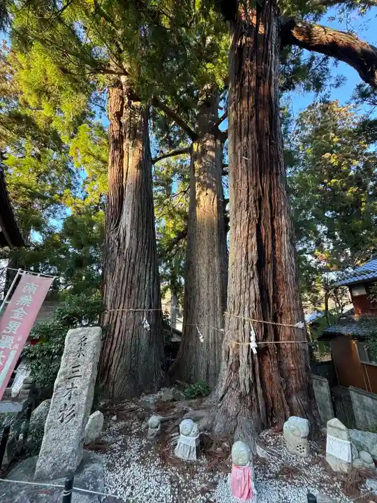 金毘羅宮慈眼寺(滋賀県)