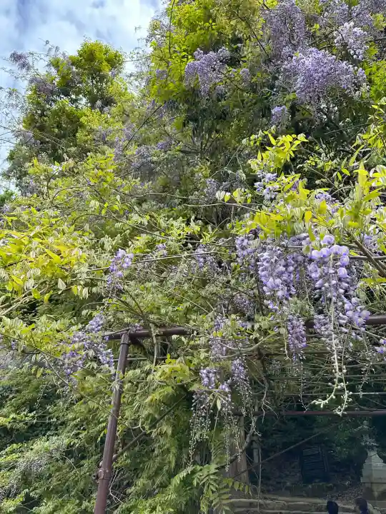 礒部神社(富山県)