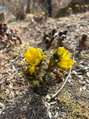 石都々古和気神社(福島県)