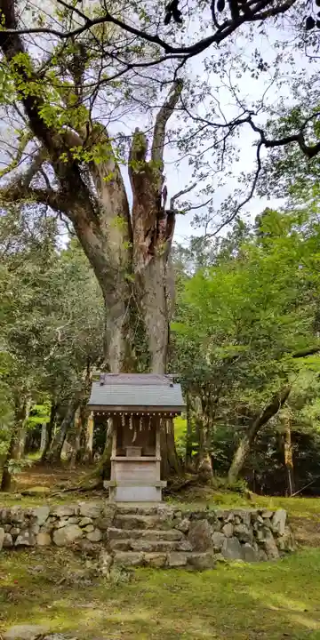 江文神社御旅所(小野源太夫社)(京都府)
