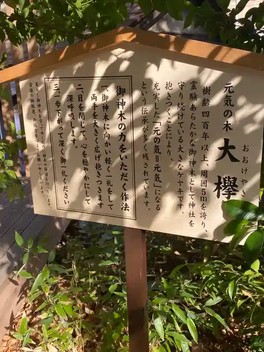 鎮守氷川神社(埼玉県)