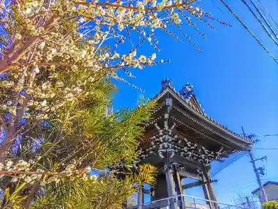 道仁寺のその他建物
