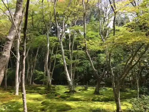 祇王寺(京都府)