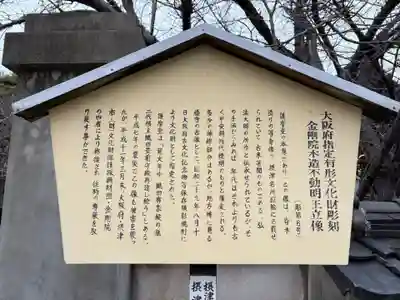 金剛院(大阪府)