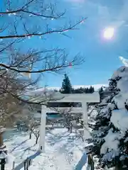 土津神社｜こどもと出世の神さまの鳥居