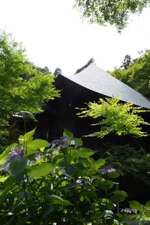 普門寺(切り絵御朱印発祥の寺)の自然