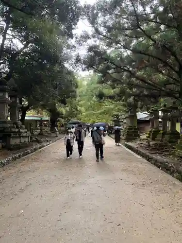 春日大社(奈良県)