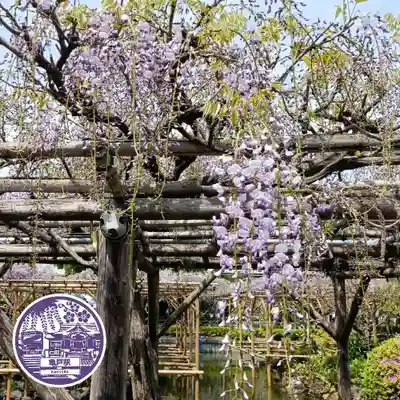 亀戸天神社(東京都)