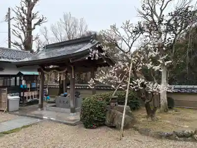 善福寺(大阪府)