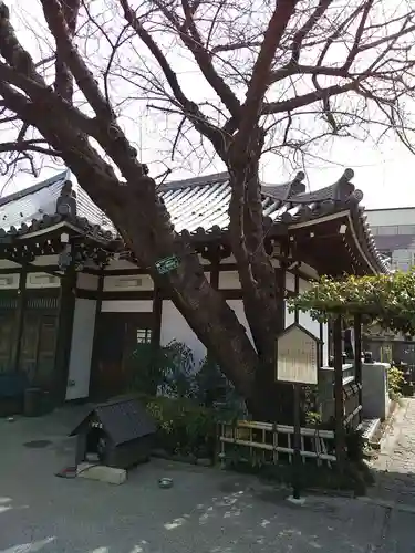 感通寺のその他建物