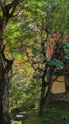 寂光院(京都府)