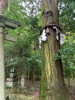 五所駒瀧神社(茨城県)