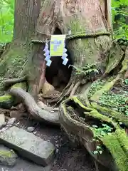 戸隠神社奥社(長野県)