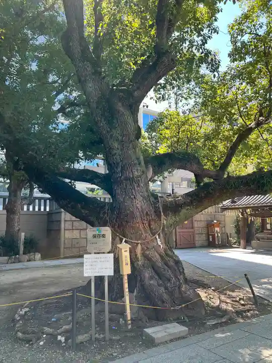 難波神社(大阪府)