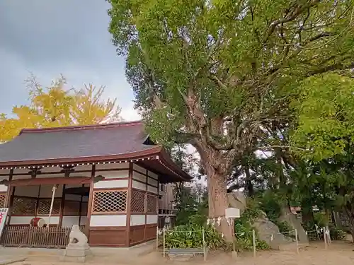 和貴宮神社(京都府)