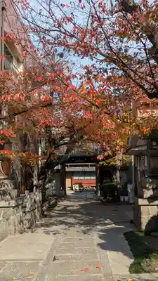 墨染寺(桜寺)(京都府)