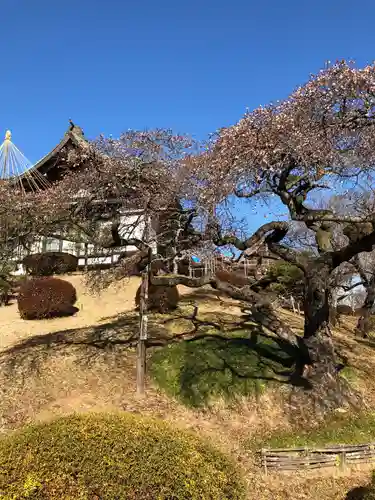 志波彦神社・鹽竈神社の庭園