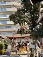 金札宮の本殿・本堂