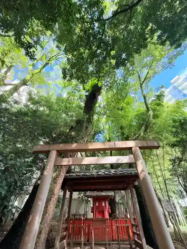 生田神社(兵庫県)